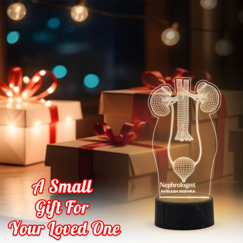 3D Illusion Kidney Acrylic Led Lamp Nephrologist Gift 3D Kidney Doctor Gifts